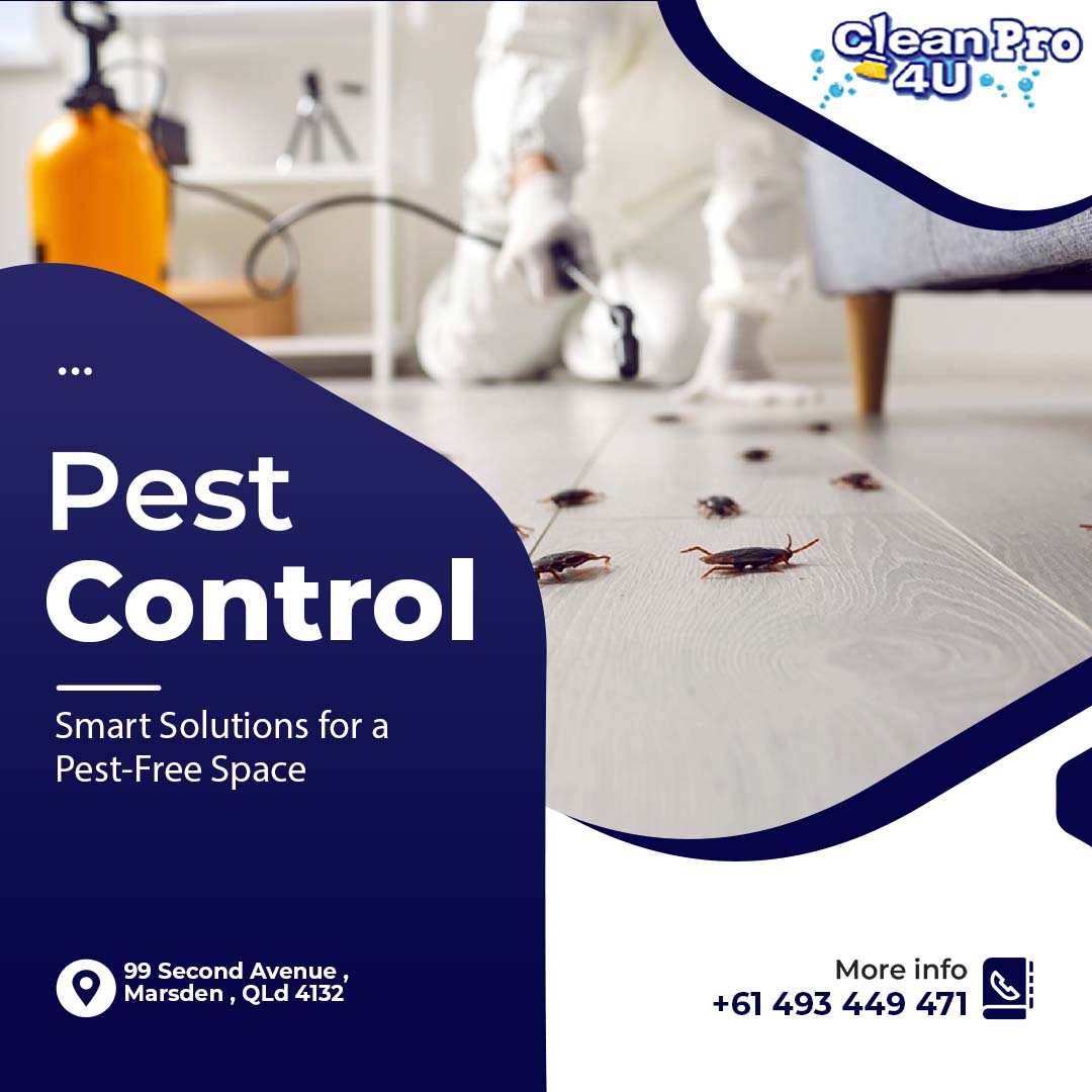cleanpro4u's tweet image. 🐀 Pests don’t belong in your home! Keep them out with smart, safe, and effective solutions! 🚪🚫

#cleanpro #cleanpro4u #ProtectYourSpace #NoPestsAllowed