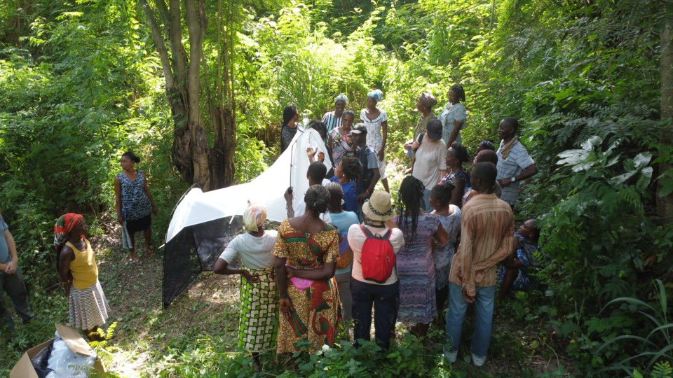 acdblab's tweet image. Our first batch of samples from Ghana has arrived! Each specimen holds a piece of the biodiversity puzzle, bringing us closer to deeper insights and conservation impact. Excited for the next steps! #BiodiversityData #NbSProject
