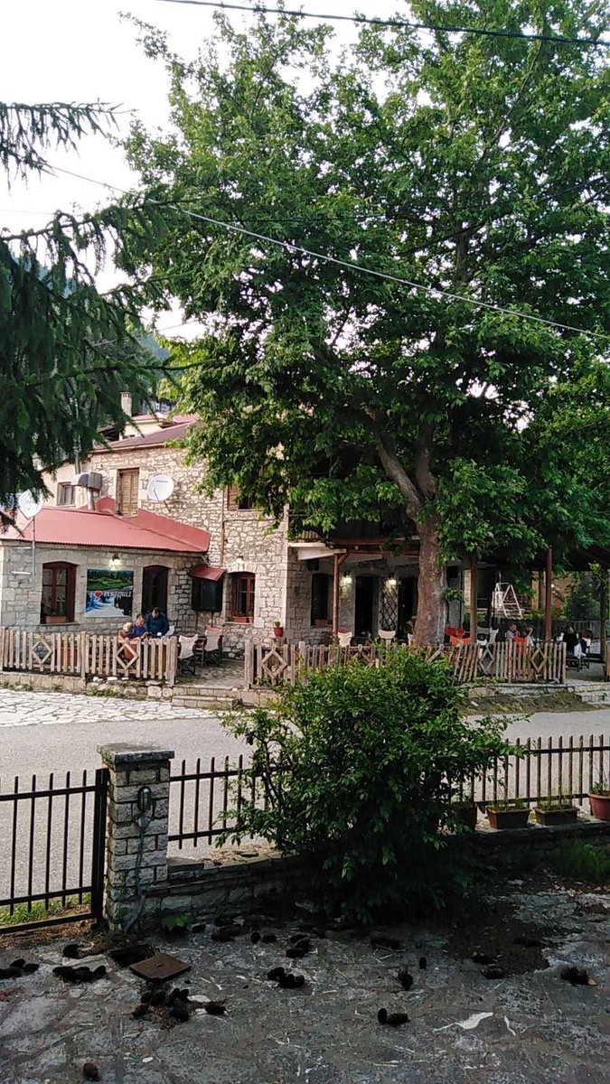EnjoyThessaly's tweet photo. Pertouli #trikala Book now at https://t.co/StWHTe7K11 #travel #greece #holidays #dayoff #nature https://t.co/mMoS1imYSf