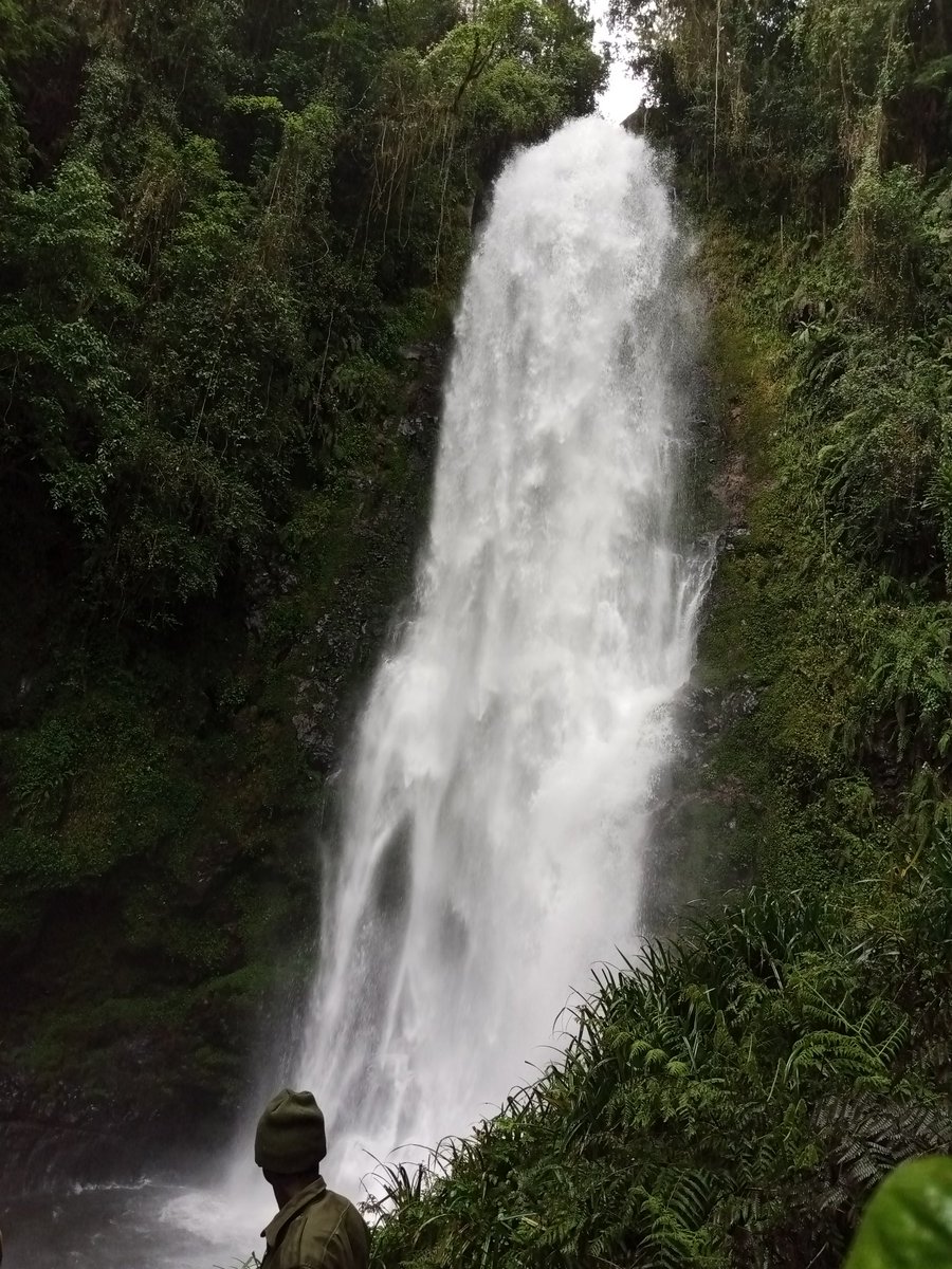 thedustyfellow's tweet image. Calling all adventurers!
We're hiking to this breathtaking waterfall in Kathandeini Forest this Saturday. Join us!
Experience the beauty of nature
#naturelovers #waterfall #forestbathing #hikingtrails #dustyfellows