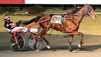 Phoenix Rising ‘everything’ to Gannons

Franklin Gannon III was 17 years old when his parents bought a yearling female pacer named Scarlet Brocade. Her impact on Gannon’s life, as well as the lives of his Maryland-based family, was immediate – and lasting.
bit.ly/3Fj3meM