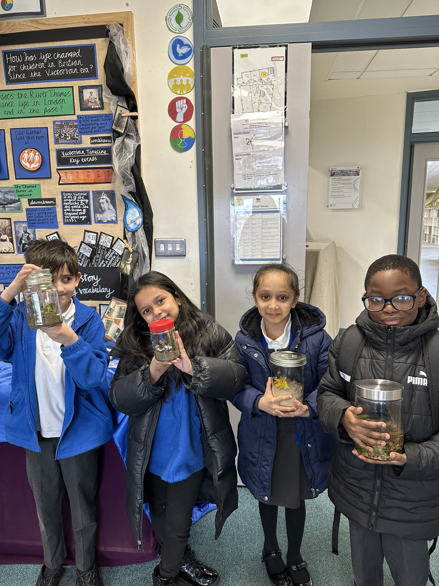 Foxfield - Year 3 tweet media