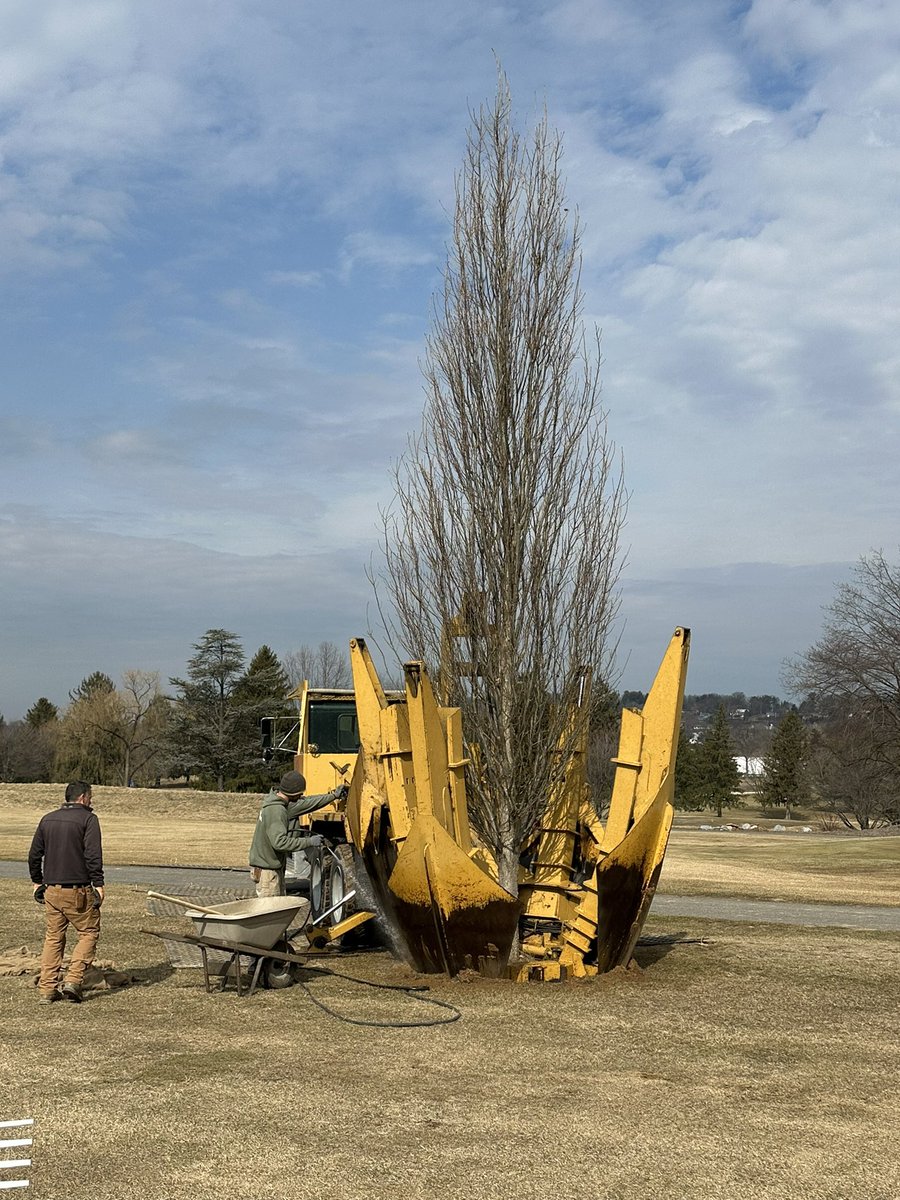 OGCgrounds's tweet image. Spring is here! Busy last 2 weeks at OGC. New trees going in, renovated 13 tee, first cup and first spray of the year (seedhead suppression). Continuing on stumphole cleanup as we head into our first tournament of the year on Saturday. BUCKLE UP!