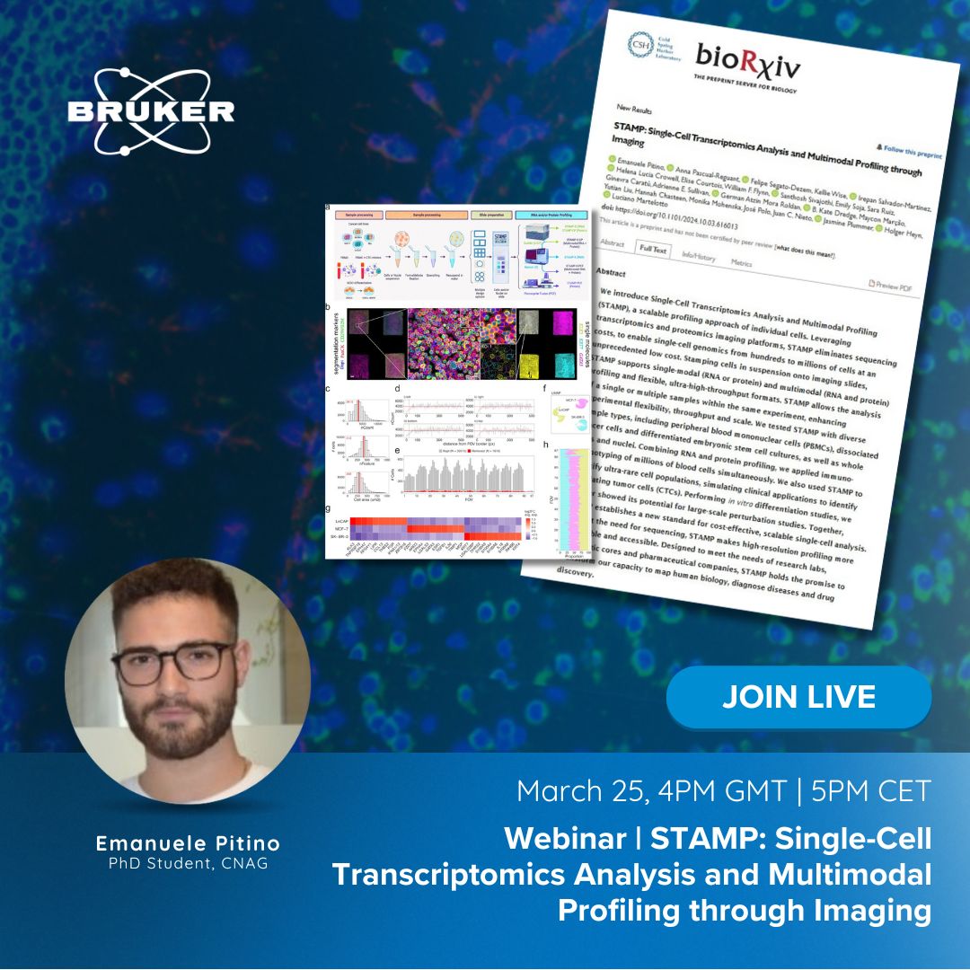 brukerspatial's tweet image. Discover Single-Cell Transcriptomics Analysis and Multimodal Profiling (STAMP)—an innovative approach enabling ultra-high-throughput RNA and protein imaging without sequencing or other challenges of scRNA-seq.
👉go.brukerspatialbiology.com/CosMx-STAMP-we…
#STAMP #SingleCellTranscriptomics