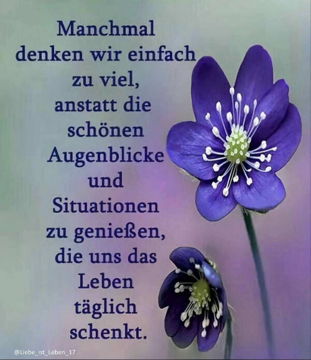 joadoit's tweet image. Einfach mal drüber nachdenken 👌