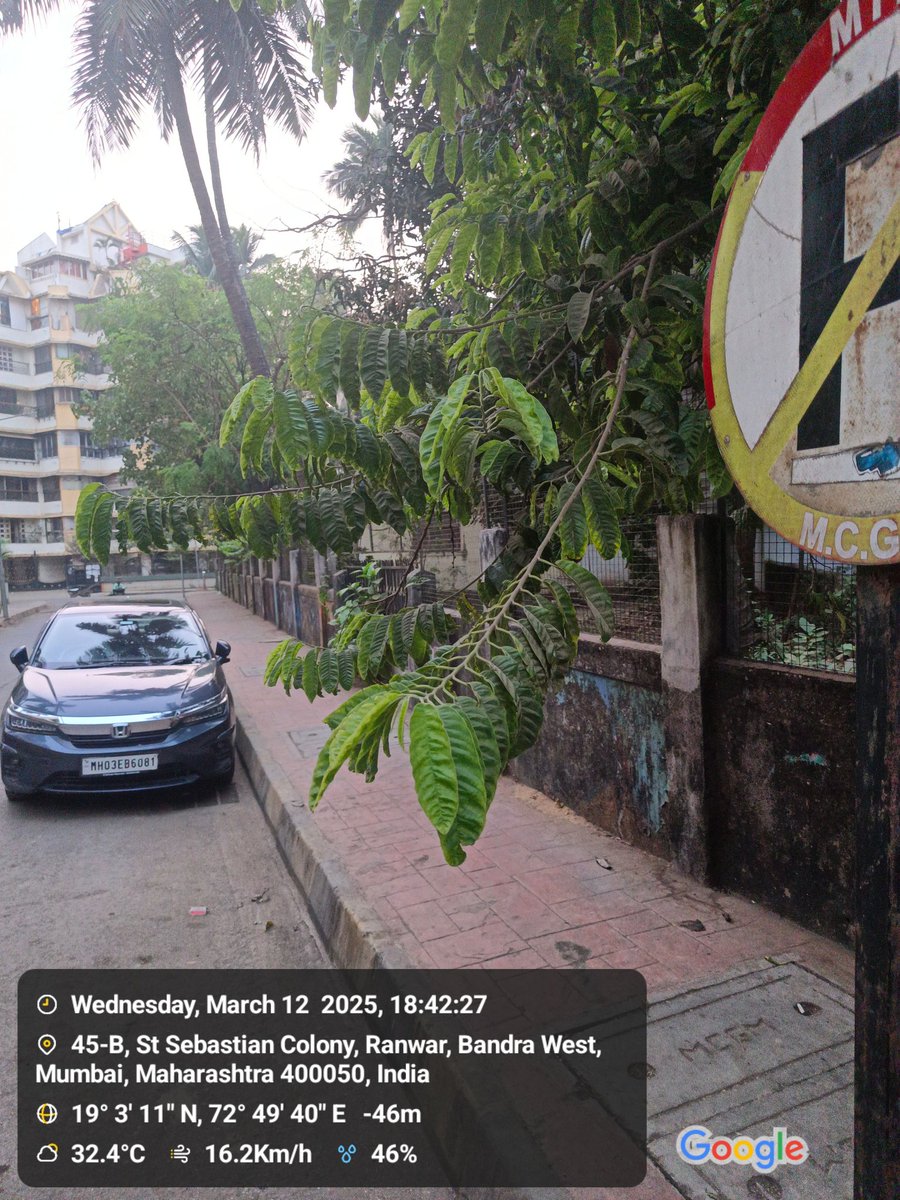 Ricper16's tweet image. @CPMumbaiPolice@MNCDFbombay @MTPHereToHelp.This car is parked in a No Parking Zone on Veronica Road Bandra West next to Dom Phil and Rose Kunj building. Kindly issue the owner of the vehicle a parking ticket.