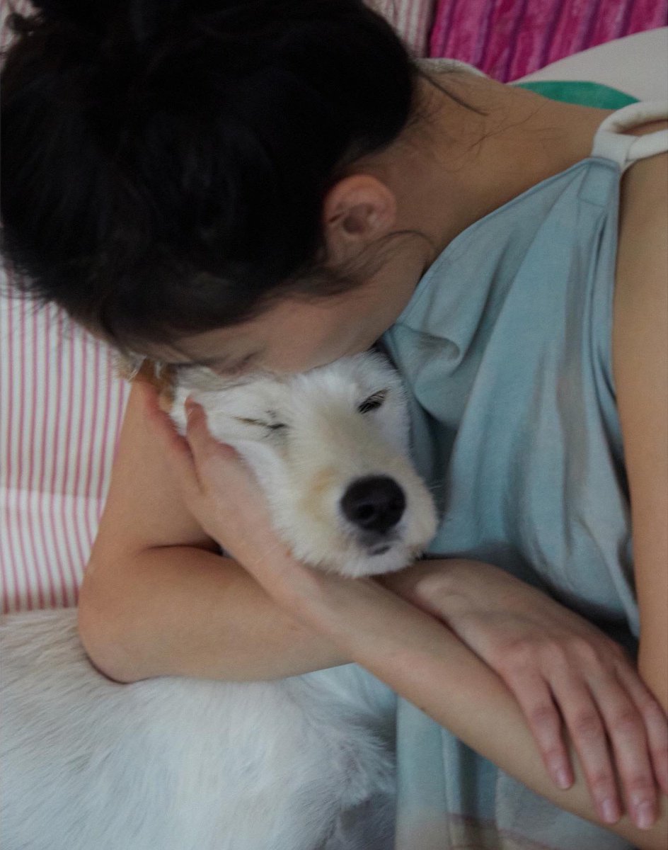 ᴅᴀʏ tweet media