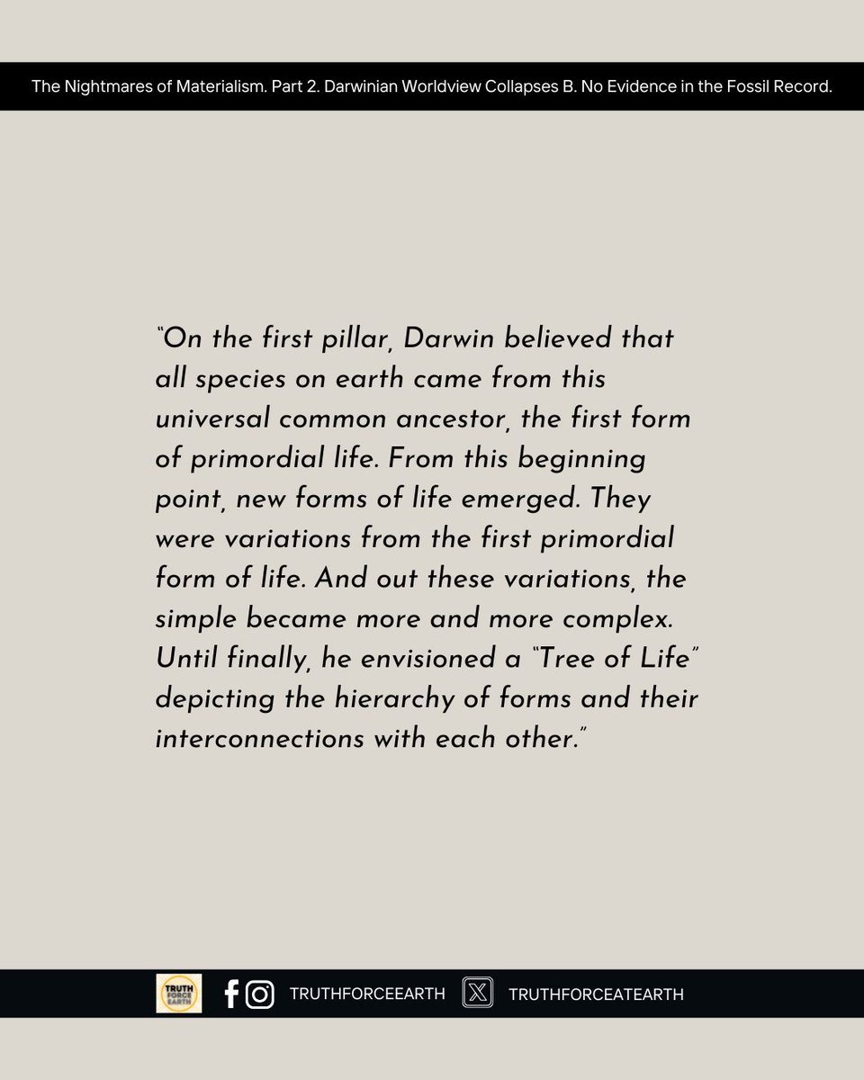 truthforceearth's tweet photo. Has Darwin been wrong all along? This article by @nicanor_pe48907 highlights that the fossil record lacks definitive evidence to support Darwin's theory of evolution. What does this mean for the science that we know? Read more here: https://t.co/QwFJKbQAW9 https://t.co/rDXwjEjR9F