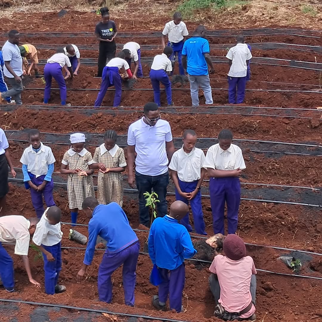 felix_grac5290's tweet photo. Tackling climate change communally. One tree at a time.π³π #pandamiti #SaveThePlanet #ClimateActionKE
Photos courtesy mitialliance https://t.co/D6Zq6hlsdE