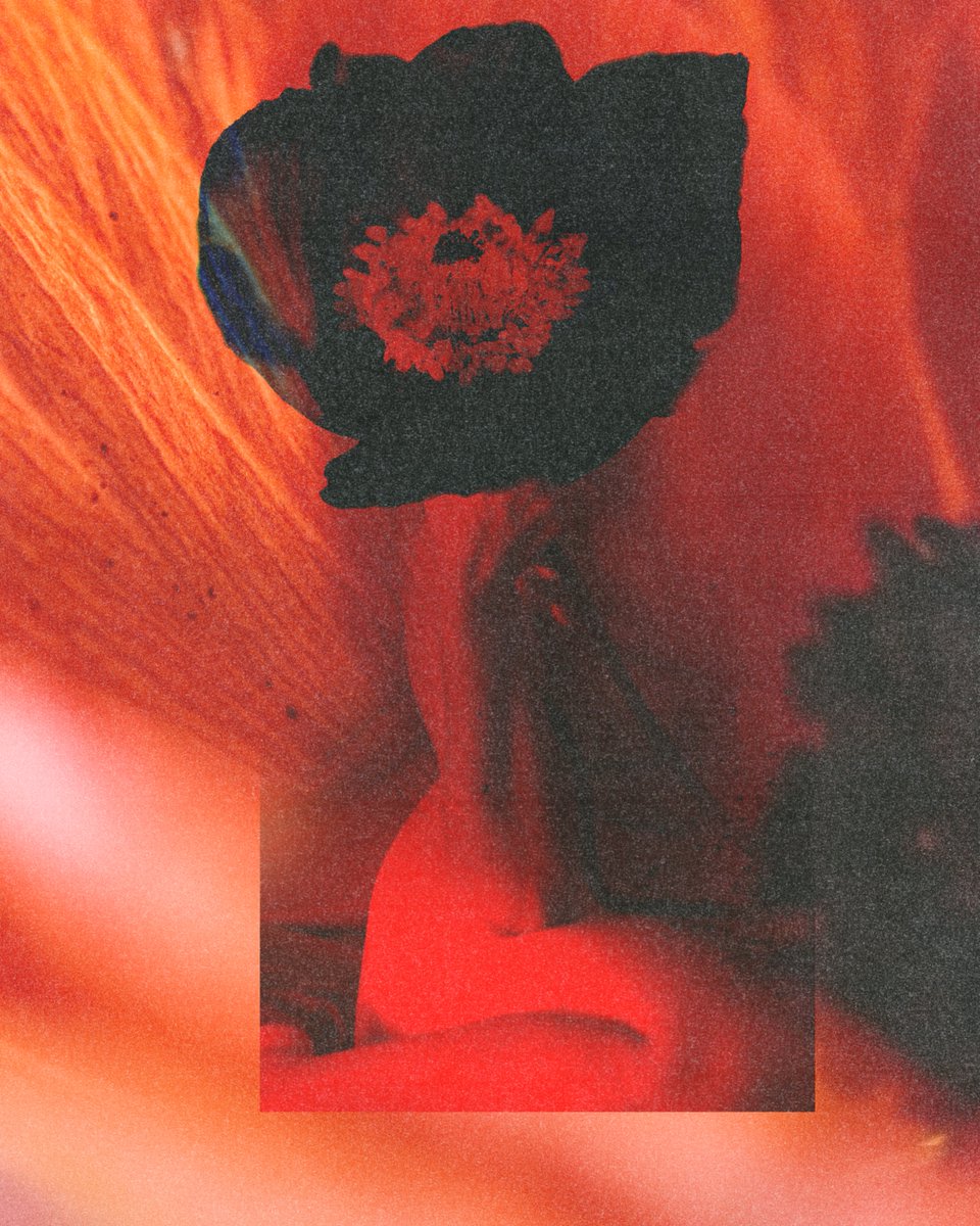 Cannot wait to get back to my experiments 
GM