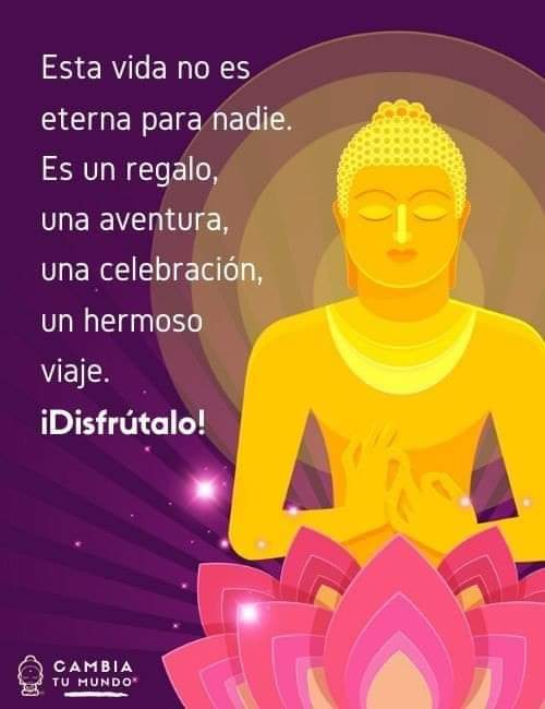 VidaEquilibrad4's tweet photo. https://t.co/BJ6g7nbWhb