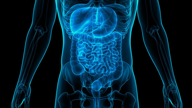Genomics Education (@genomicsedu) on Twitter photo Are you a doctor working in #gastroenterology or #hepatology? Be sure to try out #GeNotes - genomic notes for clinicians - created by experts in your field, including Dr Kevin Monahan <a href="/kevinjmonahan/">Kevin Monahan</a> and Professor Guruprasad P Aithal. genomicseducation.hee.nhs.uk/genotes/gastro…
#genomics #nhs Are you a doctor working in #gastroenterology or #hepatology? Be sure to try out #GeNotes - genomic notes for clinicians - created by experts in your field, including Dr Kevin Monahan <a href="/kevinjmonahan/">Kevin Monahan</a> and Professor Guruprasad P Aithal. genomicseducation.hee.nhs.uk/genotes/gastro…
#genomics #nhs