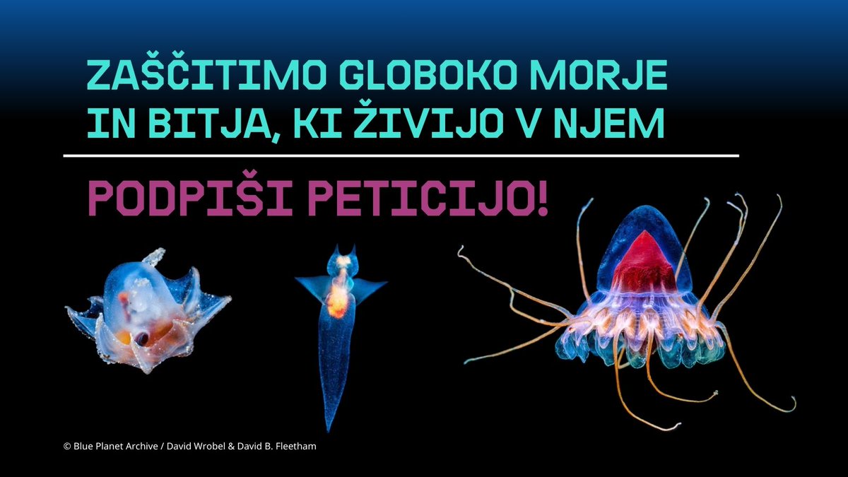 Greenpeace Slovenija tweet media