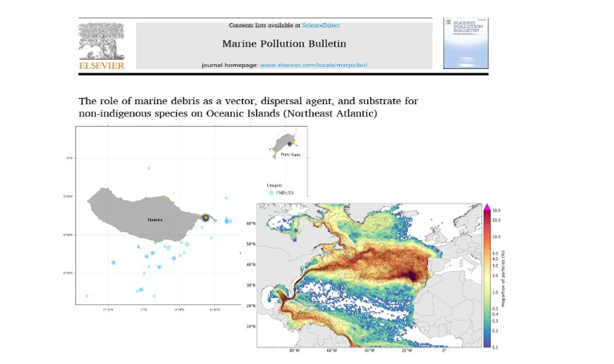 Free LitterAT (@freelitterat) on Twitter photo We are delighted to share a new publication within the framework of the Free LitterAT project, developed in collaboration with our partners <a href="/MARE_Madeira/">MARE-Madeira I Aquatic Research Institute</a>, exploring marine debris as a vector for NIS.
#atlanticarea #interregatlanticarea #freelitterat #marinedebris We are delighted to share a new publication within the framework of the Free LitterAT project, developed in collaboration with our partners <a href="/MARE_Madeira/">MARE-Madeira I Aquatic Research Institute</a>, exploring marine debris as a vector for NIS.
#atlanticarea #interregatlanticarea #freelitterat #marinedebris