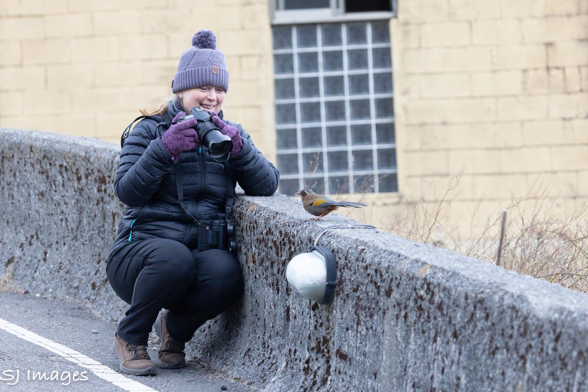 Alan Davies tweet media