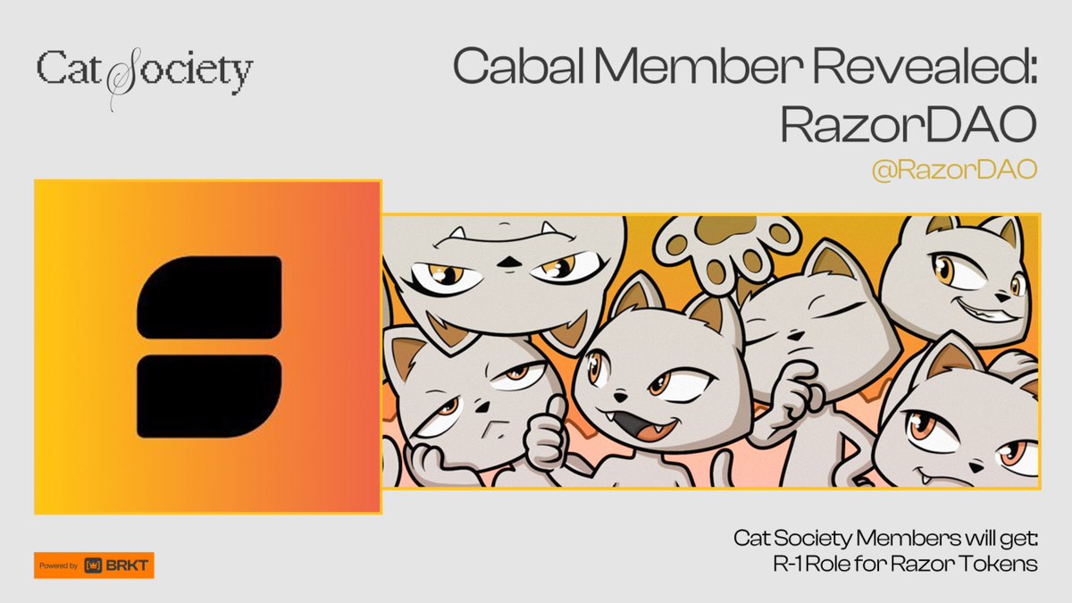 BRKT 👑 tweet media