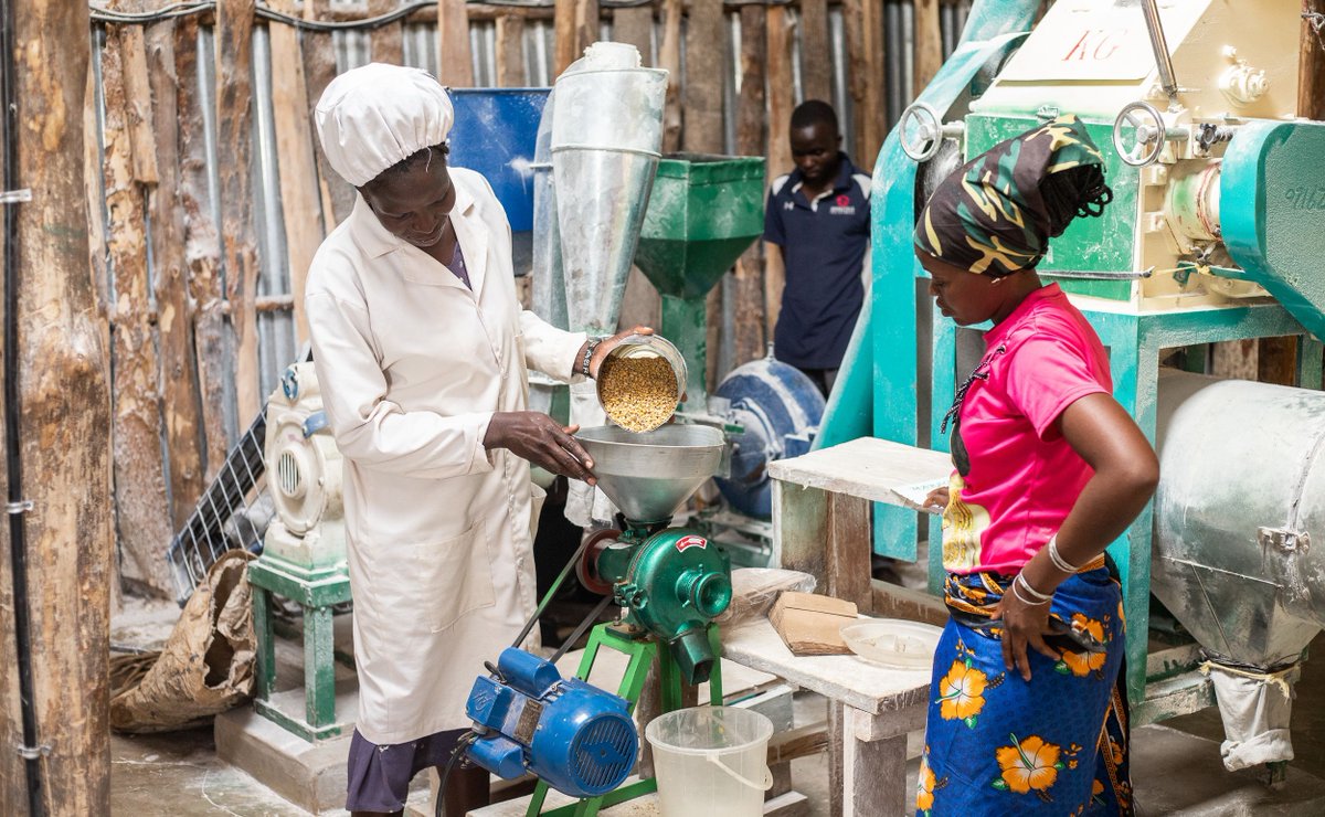 Climate challenges need smart solutions, and agribusinesses in East &amp; Southern Africa are stepping up. 💡🌽 

Through #CGIAR's #UkamaUstawi, <a href="/IFDCGlobal/">IFDC</a> is delivering workshops &amp; investment training to fuel climate-smart, sustainable growth. 🌱📈

More 🔗 buff.ly/3B5uSdv