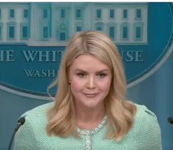 Coalition Tea Lady tweet media