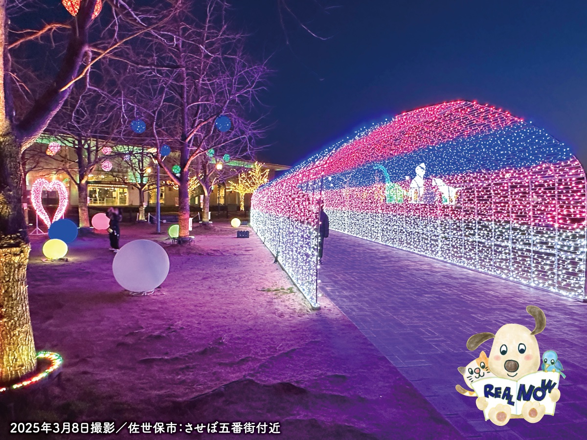 sumairing's tweet photo. 皆様こんにちは！
啓蟄を過ぎ、少しずつ寒さが和らいできたように感じます🌸
本日、最新の不動産情報誌「リアルナウ3月号」が発行されました。
今朝の折込チラシをご覧ください。
紙面は「住まいリング させぼ」のWEBサイトでもご覧になれます。
https://t.co/O0rW0Dr7nZ

#住まいリングさせぼ #佐世保 https://t.co/Brnyb9NUF3