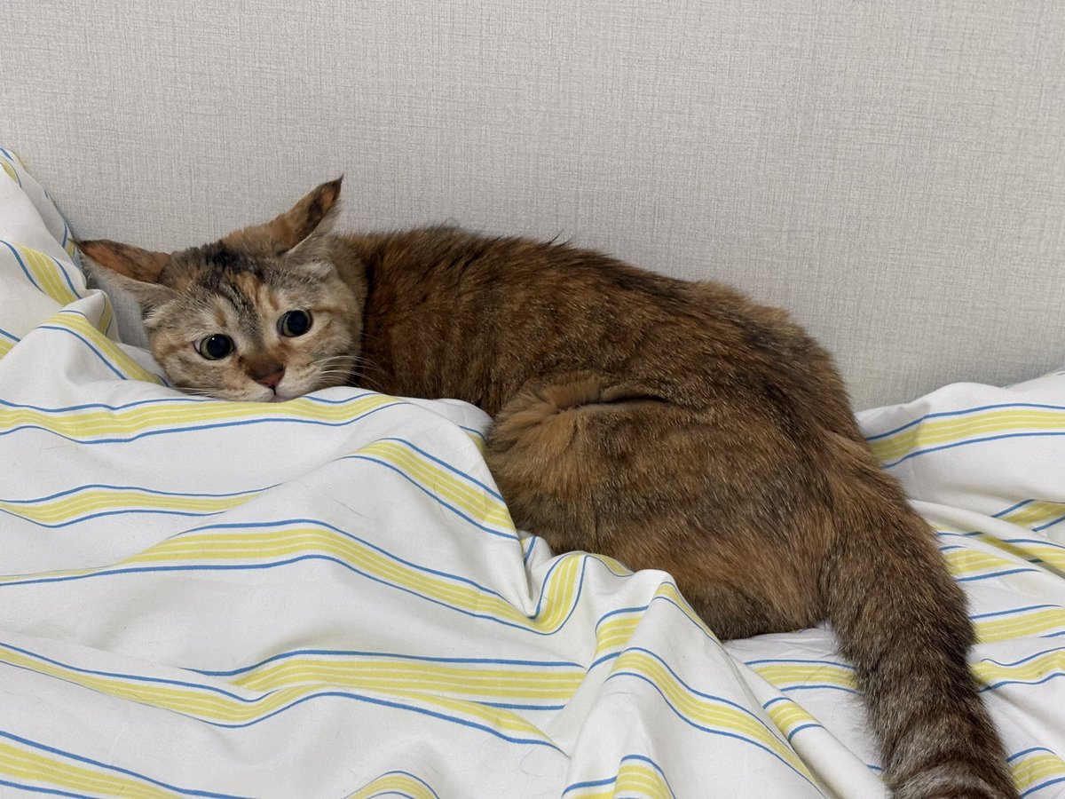 너무너무귀여워너