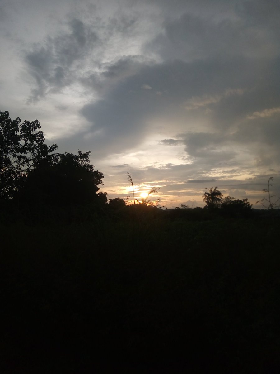 GM GM 
<a href="/Boithebear/">Boi</a> $BOI