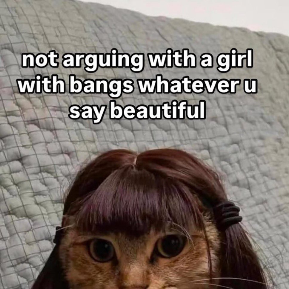 roggieAF's tweet image. I honestly like bangs. All kinds