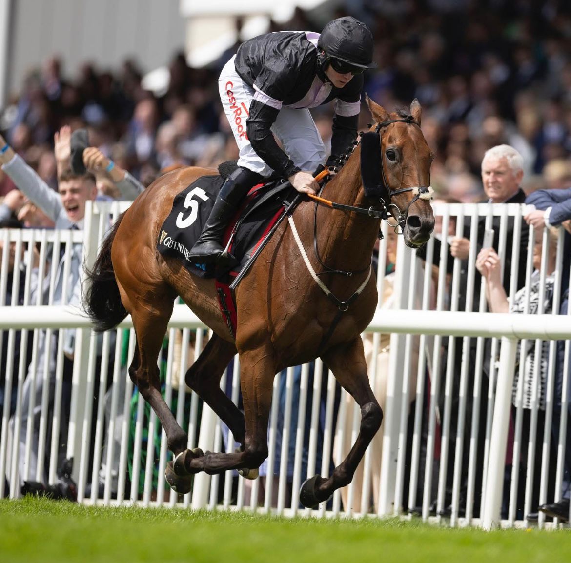 ‼️CHELTENHAM DECLARATION‼️

⚫🟣 MARS HARPER ⚫🟣

Pioneer Racing is delighted to have Mars Harper declared in The Trustatrader Plate Handicap Chase (Premier Handicap)

🗓 Thursday 13th March 
⏰4.40pm - The Trustatrader Plate Handicap Chase (Premier Handicap)