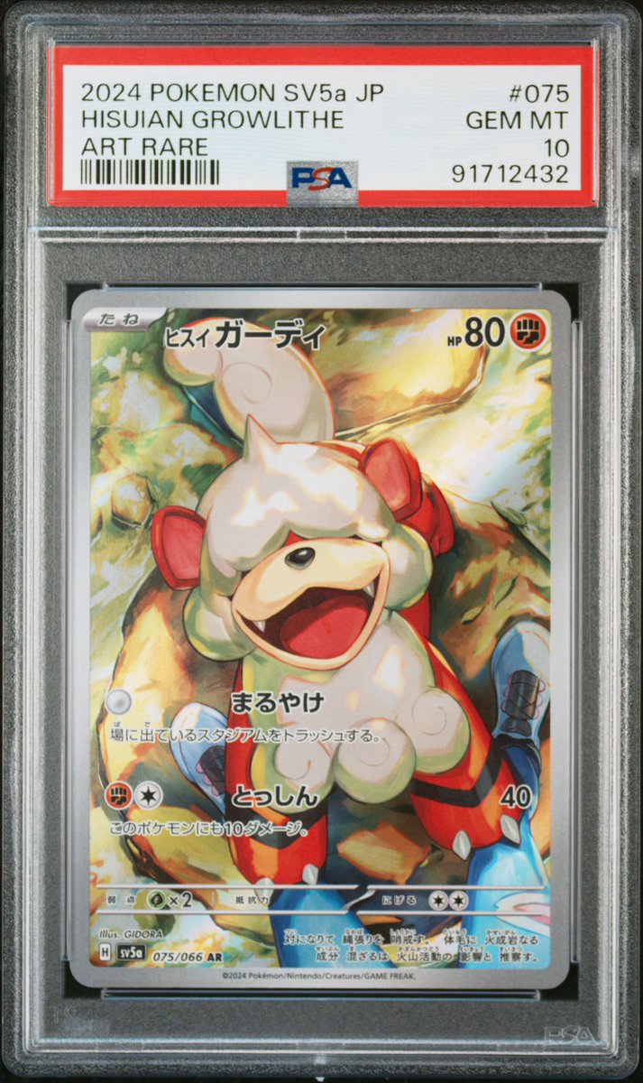 PDG Collector's Shop 秋葉原 tweet media