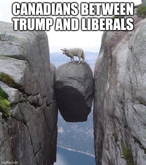 Babu Must-Ajayameru (hōō) 🧐🇨🇦🍁🇨🇦 tweet media