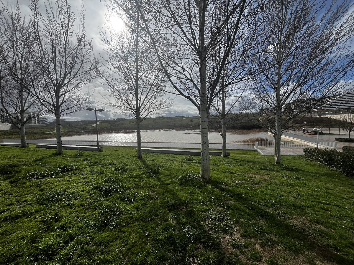 Living in Valdebebas tweet media