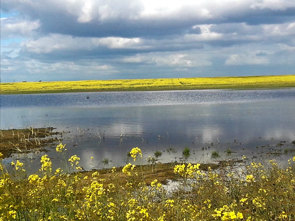 I Love Darling Newsletter - mailchi.mp/e4104649d101/i…

Click on Facebook Page Newsletter tab to subscribe to this weekly newsletter.

PHOTO: @lorijean_husky