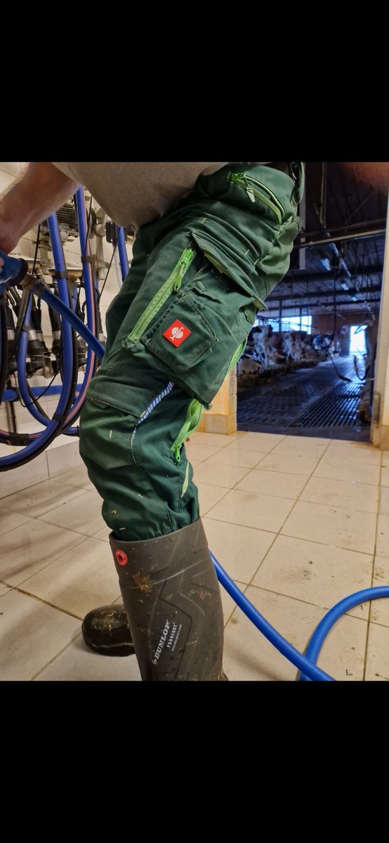 Next time on the Farm

#Farm #Strauss #Puros