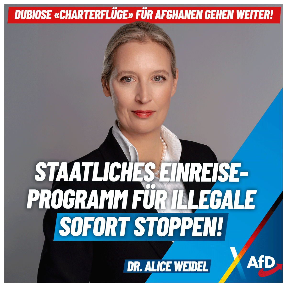 Keine "Ortskräfte", dubiose Einreisepapiere, trotzdem gehen Charterflüge aus Afghanistan unvermindert weiter. Wir fordern nicht nur einen sofortigen Stopp dieser Praxis, sondern eine umgehende Untersuchung der fragwürdigen Vorgänge in <a href="/BMI_Bund/">Bundesministerium des Innern</a> &amp; <a href="/AuswaertigesAmt/">Auswärtiges Amt</a>!