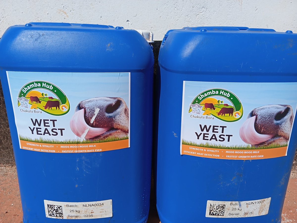 Shambahubltd (@shambahubltd) on Twitter photo At <a href="/shambahubltd/">Shambahubltd</a> , we don’t just sell agri-inputs, we empower farmers. From innovative wet yeast feed to tech-driven farmer support, we’re redefining agriculture in Kenya. The future of farming is here.
#shambahubltd #Agriculture #agtech #empoweringfarmers At <a href="/shambahubltd/">Shambahubltd</a> , we don’t just sell agri-inputs, we empower farmers. From innovative wet yeast feed to tech-driven farmer support, we’re redefining agriculture in Kenya. The future of farming is here.
#shambahubltd #Agriculture #agtech #empoweringfarmers
