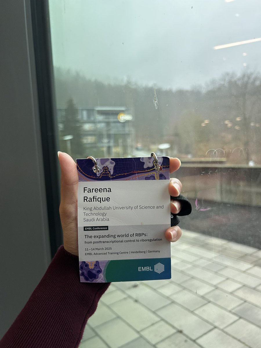 “Diving into the world of RNA-binding proteins at EMBL Heidelberg—where science meets innovation! 
Grateful to KAUST for supporting this journey of discovery #EMBLRBP #PhaseSeparation #RNARevolution
<a href="/EMBLEvents/">EMBL Events</a> <a href="/StressGranuleMC/">Monika Chodasiewicz</a>