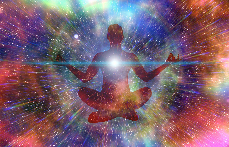 Lisa M Christie, PhD tweet media