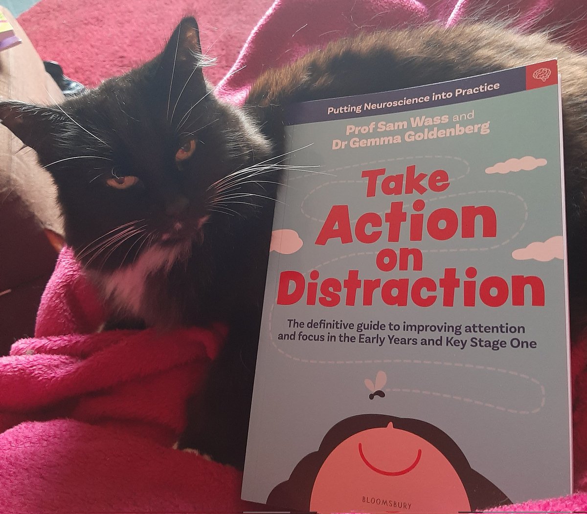 nicrich (@geordiecat2012) on Twitter photo Looking forward to reading this from <a href="/BloomsburyEd/">Bloomsbury Education</a> Interesting to read the science behind it, with practical ideas. I think a lot of children are struggling with this since the pandemic so hopefully will be very helpful, while recognising some is related to age and maturity. Looking forward to reading this from <a href="/BloomsburyEd/">Bloomsbury Education</a> Interesting to read the science behind it, with practical ideas. I think a lot of children are struggling with this since the pandemic so hopefully will be very helpful, while recognising some is related to age and maturity.
