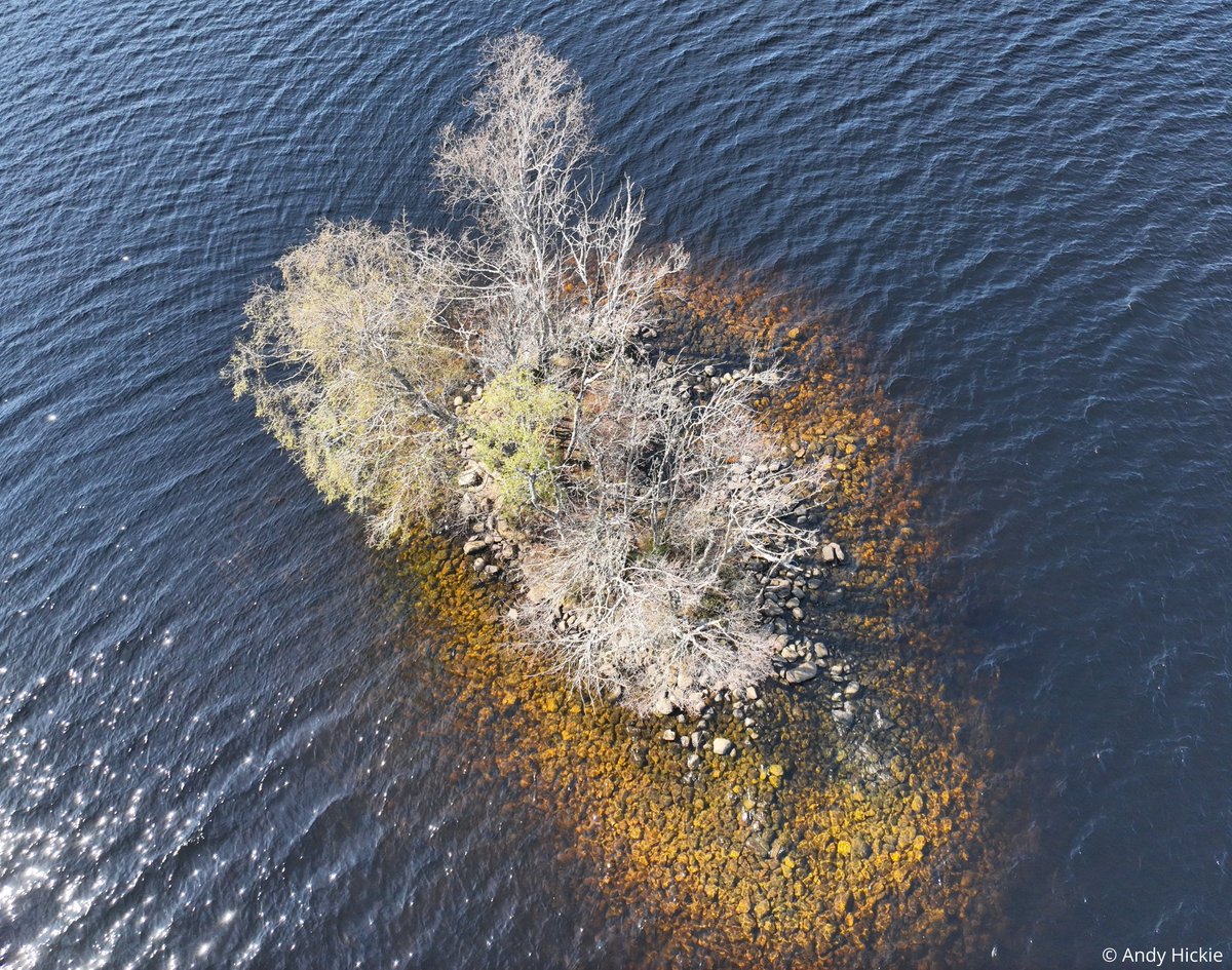 Society of Antiquaries of Scotland (@socantscot) on Twitter photo "Crannogs contain some of the best-preserved evidence for life in the past in Scotland."
Today the Society announced funding for an underwater excavation of a medieval Highland crannog by <a href="/NosasBlog/">NOSASArchaeologyBlog</a> and <a href="/NautArchSoc/">Nautical Archaeology Society</a>, along with 11 other new projects: bit.ly/SocietyGrantsS… "Crannogs contain some of the best-preserved evidence for life in the past in Scotland."
Today the Society announced funding for an underwater excavation of a medieval Highland crannog by <a href="/NosasBlog/">NOSASArchaeologyBlog</a> and <a href="/NautArchSoc/">Nautical Archaeology Society</a>, along with 11 other new projects: bit.ly/SocietyGrantsS…