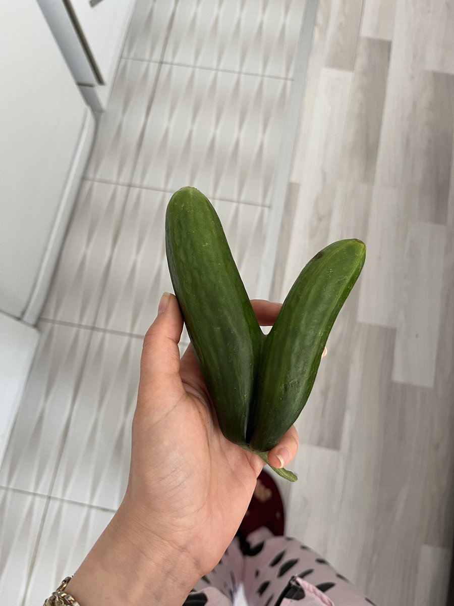 SIDEMM6's tweet photo. Aşk hıyarı. https://t.co/Nq30CH6W6Z