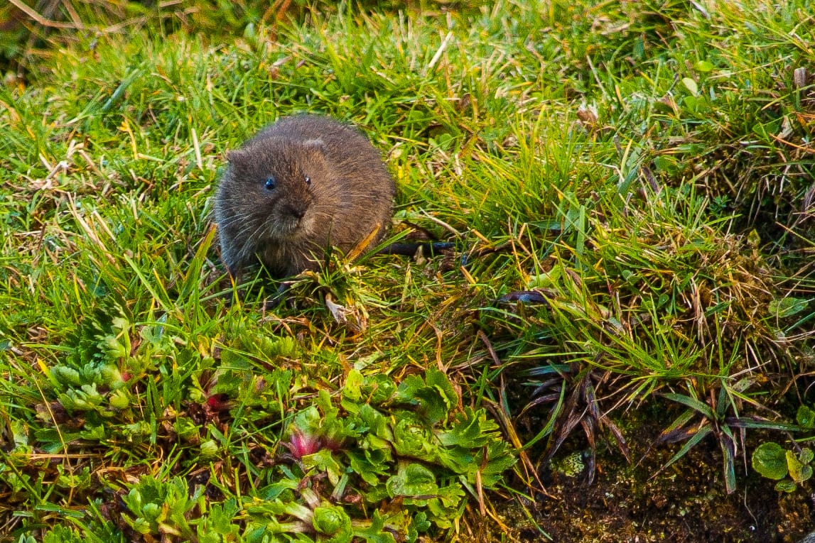 Projecte SEMICE tweet media