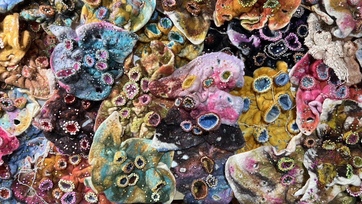 AnnaDumitriu's tweet image. Art exhibitions:
@MuseeDeLaMain
@MITMuseum
@EdenProject 
@LentosLinz 
Meixihu Contemporary Art Museum @ChangshaCity 
Gallery of ARTFul Medicine NYC
Groundwork Gallery
Collaborations:
@drjanefreeman
Dr James Price EU VOICE Project
@BOKUvienna
@ModMedMicro 
annadumitriu.co.uk/news