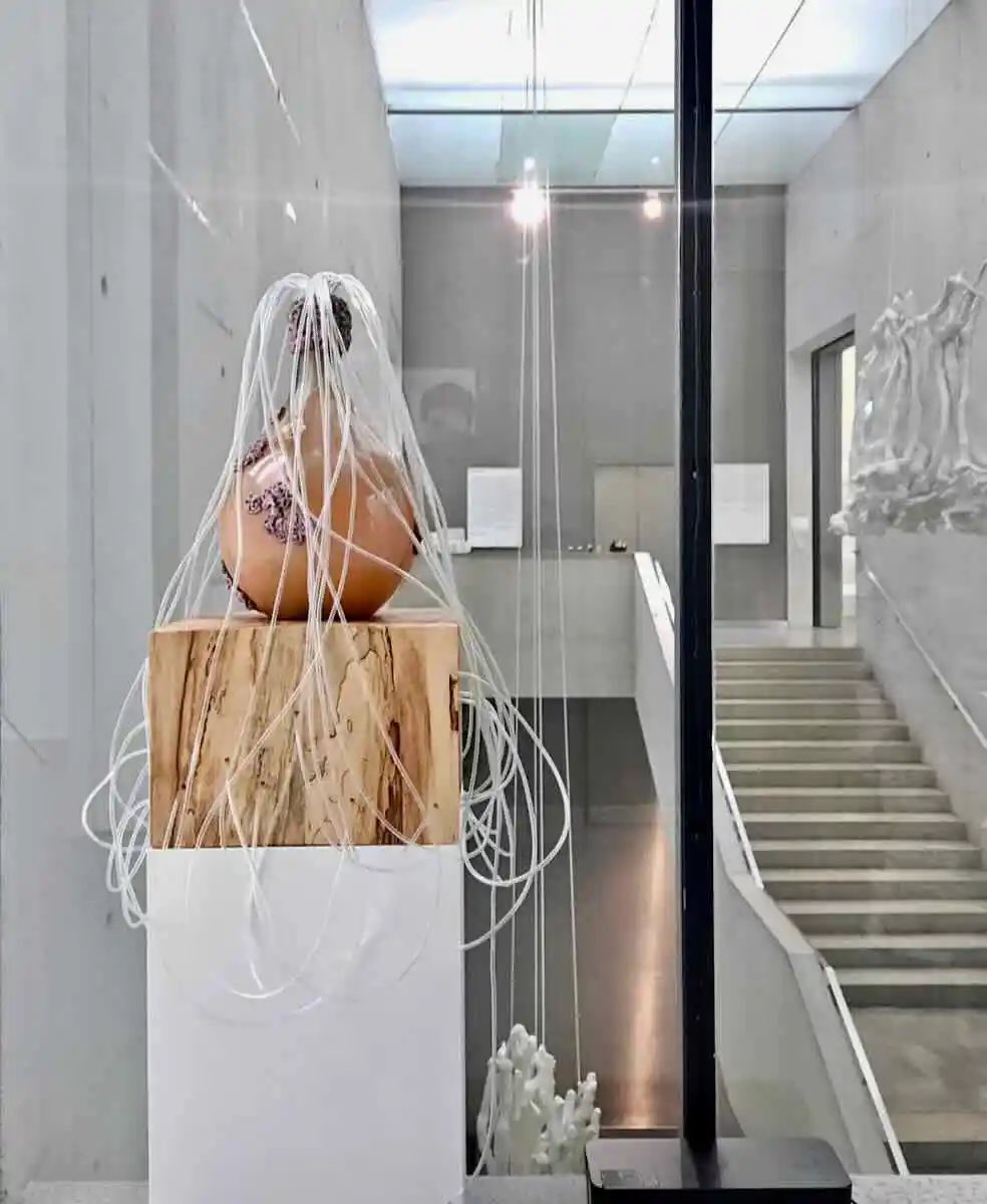 AnnaDumitriu's tweet image. Art exhibitions:
@MuseeDeLaMain
@MITMuseum
@EdenProject 
@LentosLinz 
Meixihu Contemporary Art Museum @ChangshaCity 
Gallery of ARTFul Medicine NYC
Groundwork Gallery
Collaborations:
@drjanefreeman
Dr James Price EU VOICE Project
@BOKUvienna
@ModMedMicro 
annadumitriu.co.uk/news
