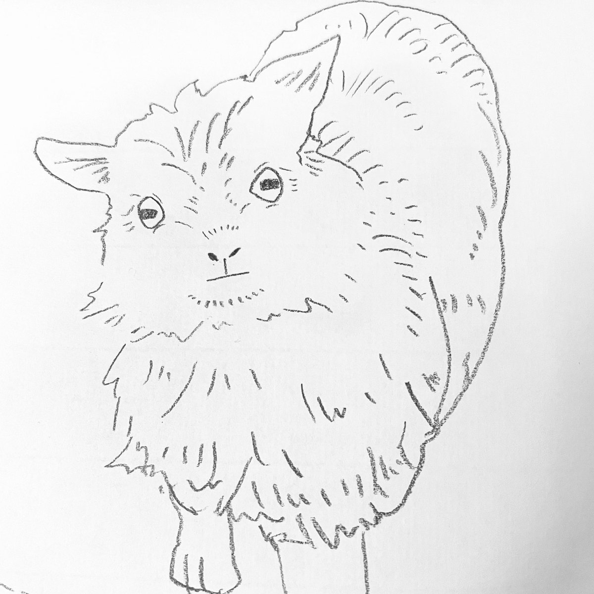 突然ですが、動物を描きたい気分なので、リクエストを募集します。本日22時になるか、12種集まったら締め切ります👐

このポストへの返信でその動物の名前を送ってください。どなたでもどうぞ🫱

採用のご連絡は、描いた絵の投稿をもってかえさせていただきます。気まぐれなものなので気長にお待ちを。 