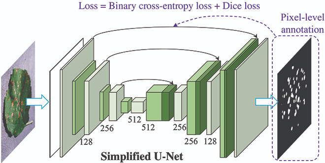 PPhenomics's tweet photo. Deep learning and computer vision advance plant disease phenotyping. We analyzed pixel-level disease features using supervised CNNs and weakly supervised models. #Plantleave #Diease
Details: https://t.co/19nvBhwg7G https://t.co/XDSG3LFrrb
