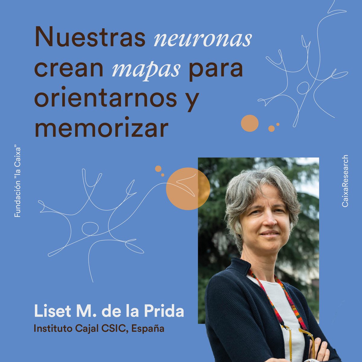 CaixaResearch (@caixaresearch) on Twitter photo 1/ 🗺️🧠 ¿Tenemos mapas en el cerebro?
Nuestras neuronas necesitan crear mapas de lo que nos rodea, que nos sirven para orientarnos, movernos o reconocer atajos. ¿Cómo lo hacen?
Te traemos el último hallazgo de la investigadora #CaixaResearch <a href="/LMPrida/">Liset M de la Prida</a>.
csic.es/en/node/168082 1/ 🗺️🧠 ¿Tenemos mapas en el cerebro?
Nuestras neuronas necesitan crear mapas de lo que nos rodea, que nos sirven para orientarnos, movernos o reconocer atajos. ¿Cómo lo hacen?
Te traemos el último hallazgo de la investigadora #CaixaResearch <a href="/LMPrida/">Liset M de la Prida</a>.
csic.es/en/node/168082