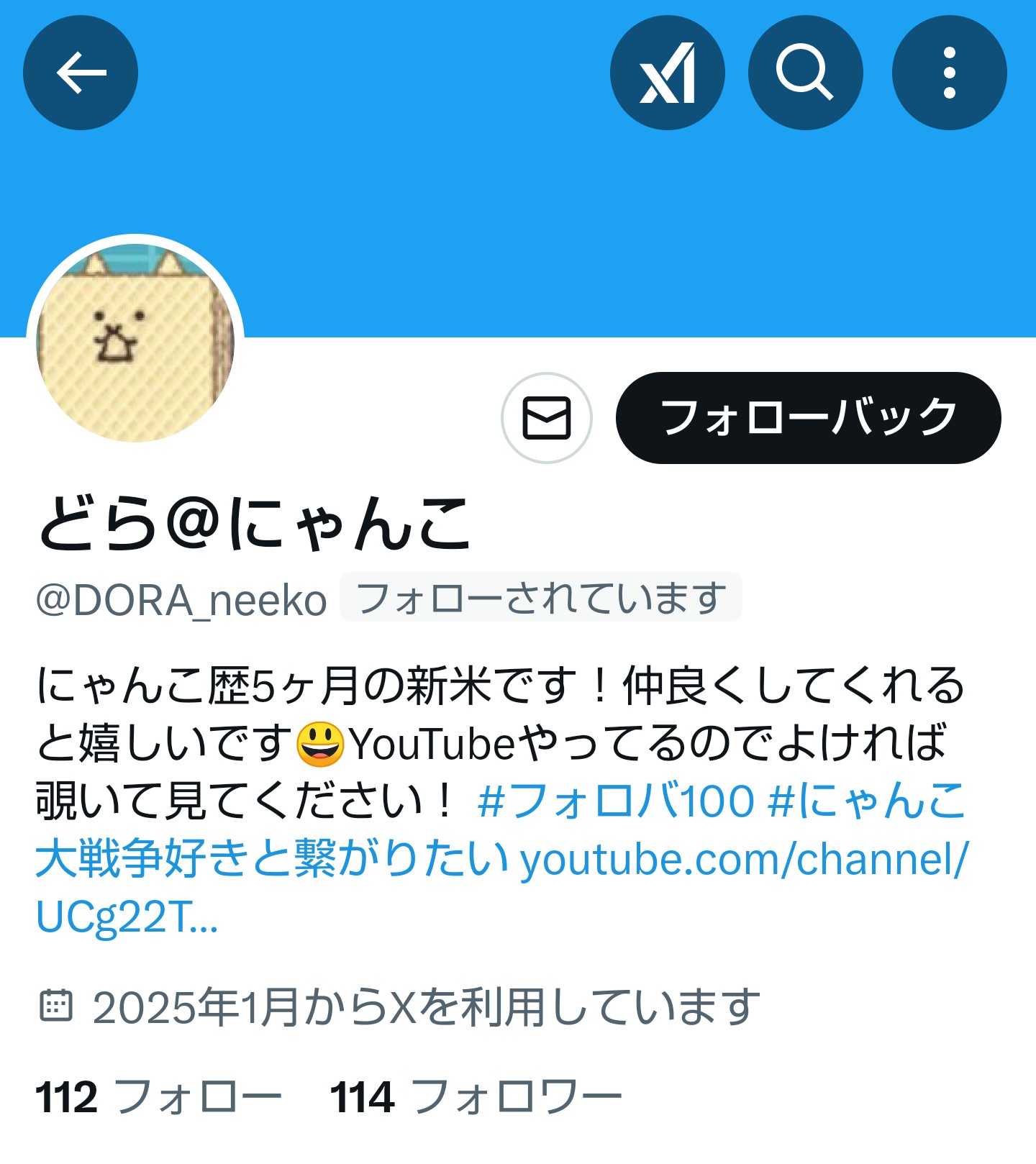 にゃんこ民図鑑 (@white_fonou) / X にゃんこ民図鑑 (@white_fonou) / X