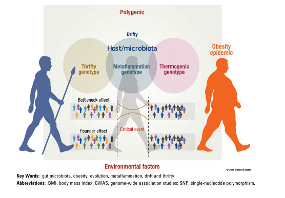 📙The Microbiota and Evolution of Obesity

👉 La #obesidad es un problema importante a nivel mundial y generalmente se atribuye a una combinación de factores genéticos y ambientales

academic.oup.com/edrv/article/4…
<a href="/ObesitySeen/">ObesitySEEN</a>