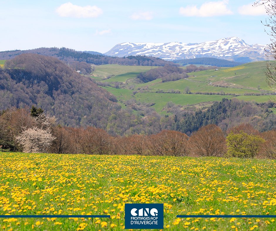 L’Auvergne est une terre de production laitière, de savoir-faire, et une terre de fromages AOP !
À cheval sur les départements du Cantal et du Puy-de-Dôme, nos aires d’appellations se superposent, permettant aux éleveurs de fabriquer une ou plusieurs AOP !
swll.to/territoire-aop