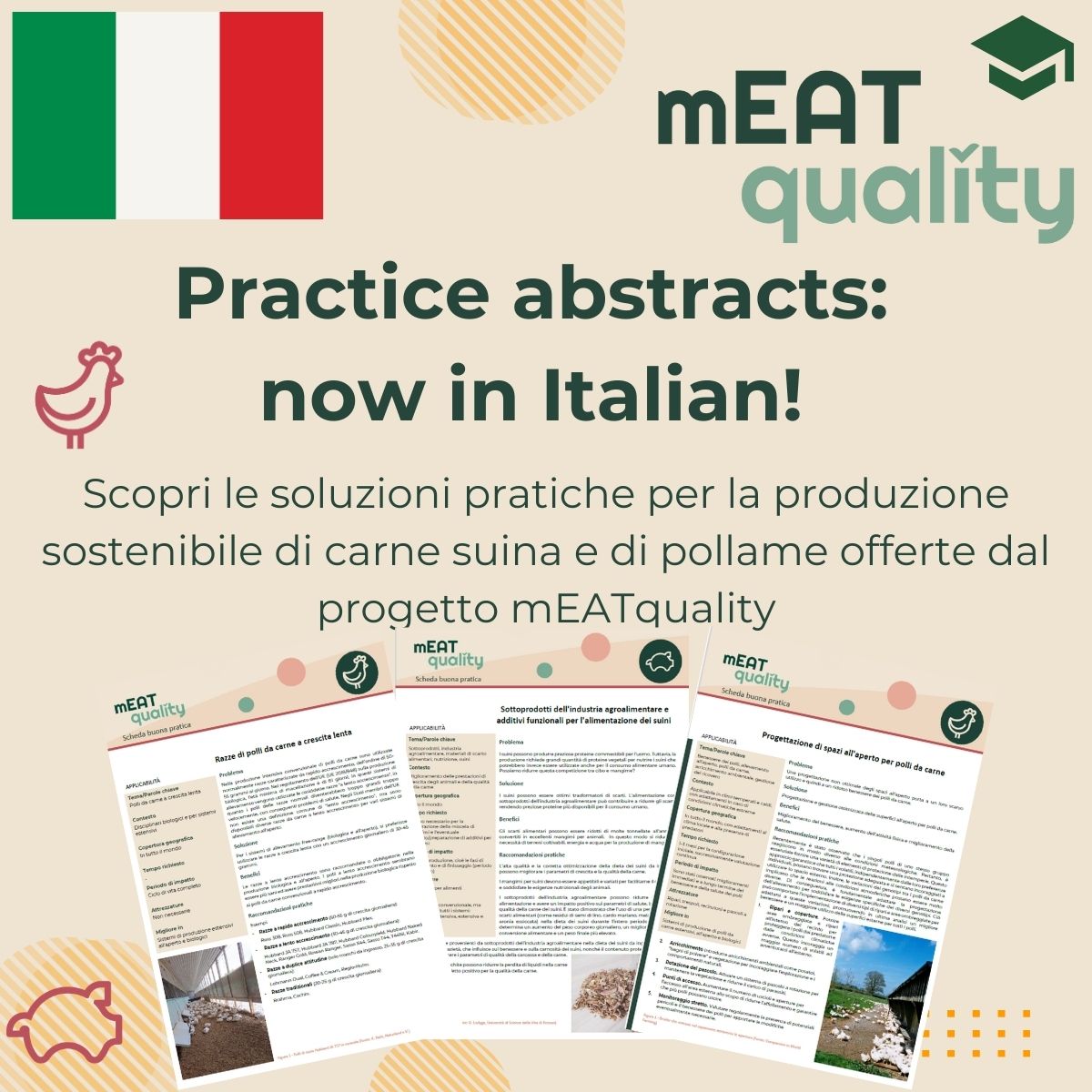 The Practice Abstracts in Italian are available here: meatquality.eu/it/materiale-d… 

<a href="/WUR/">Wageningen U&R</a> @up_poznan <a href="/crpasocial/">CRPA</a> <a href="/AarhusUni_int/">Aarhus University</a> <a href="/Ecovalia/">Ecovalia</a> <a href="/EU_H2020/">Horizon 2020</a> <a href="/Naturland_eV/">Naturland e.V.</a> <a href="/usal/">Universidad de Salamanca</a> <a href="/HubbardBreeders/">Hubbard Breeders</a> <a href="/Saar_Uni/">Universität Saarland</a> <a href="/Marel_news/">Marel</a> <a href="/unirostock/">Universität Rostock</a> <a href="/MAPPCentre/">MAPP Centre</a> <a href="/VeterinariaUCO/">Facultad de Veterinaria UCO</a>
<a href="/BSW_anivet/">Animal behaviour, stress and welfare - AU</a>