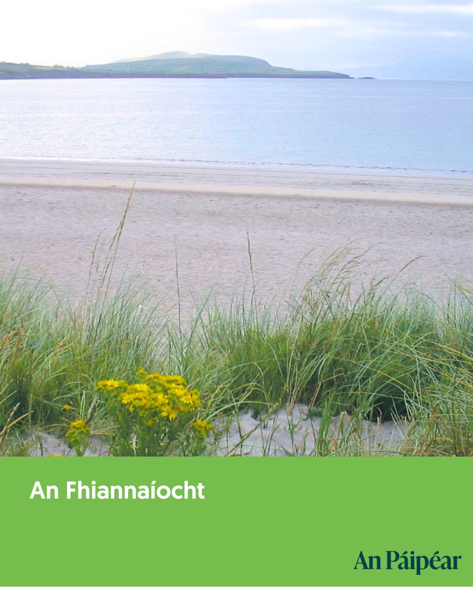 An Páipéar (@anpaipear) on Twitter photo An tseachtain seo sa Pháipéar, pléann <a href="/AnCadhlach/">Caoimhín Ó Cadhla</a> scéalta Fhionn mac Cumhaill agus na Fianna!
Pioc suas eagrán a 19 i do shiopa áitiúil. Tuilleadh eolais: anpaipear.ie 🗞
<a href="/gaelchultur/">Gaelchultúr</a> <a href="/FoghlaimTG4/">Foghlaim TG4</a> <a href="/peascaeasca/">Éasca Péasca</a> <a href="/GaelLinn/">Gael Linn</a> #AnPáipéar #IrishFolklore #Gaeilge An tseachtain seo sa Pháipéar, pléann <a href="/AnCadhlach/">Caoimhín Ó Cadhla</a> scéalta Fhionn mac Cumhaill agus na Fianna!
Pioc suas eagrán a 19 i do shiopa áitiúil. Tuilleadh eolais: anpaipear.ie 🗞
<a href="/gaelchultur/">Gaelchultúr</a> <a href="/FoghlaimTG4/">Foghlaim TG4</a> <a href="/peascaeasca/">Éasca Péasca</a> <a href="/GaelLinn/">Gael Linn</a> #AnPáipéar #IrishFolklore #Gaeilge